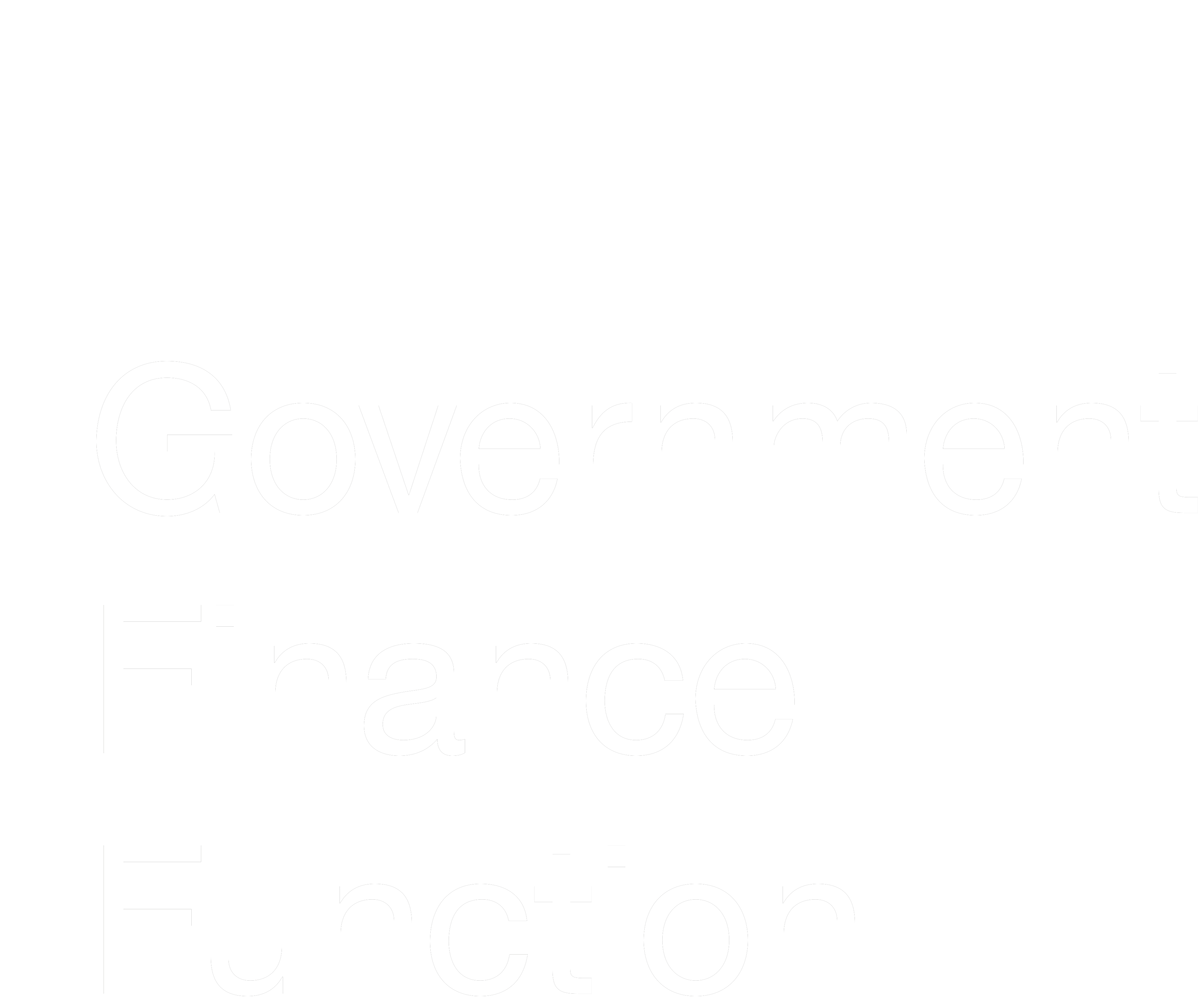 Government Finance Function - Home